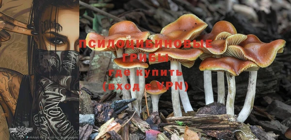 соль ск Михайлов