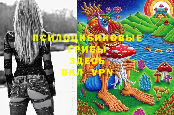 соль ск Михайлов