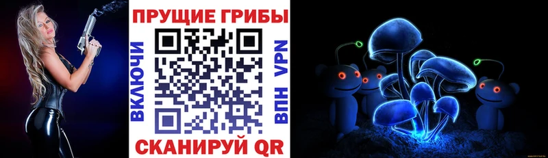 продажа наркотиков  Новодвинск  Псилоцибиновые грибы Psilocybe 