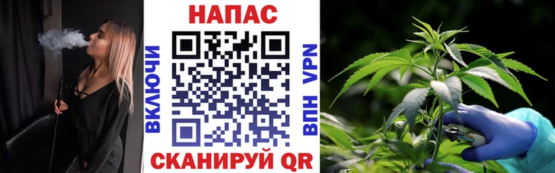 Каннабис White Widow  наркошоп  Новодвинск 